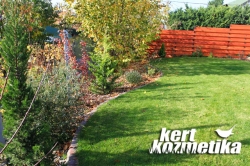 ősszel a budaörsi kert (47)